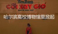 哈尔滨高校博物馆里掀起研学热